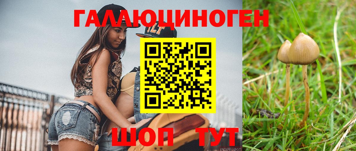 Псилоцибиновые грибы мицелий  купить наркотики сайты  Железногорск  Вход с VPN  Галлюциногенные грибы MAGIC MUSHROOMS 